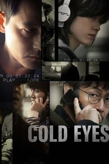ცივი მზერა / Cold Eyes / 감시자들