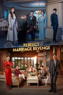 იდეალური შურისძიება ქორწინებით / PERFECT MARRIAGE REVENGE
