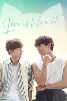 სიყვარული კატას ჰგავს / Love Is like a Cat
